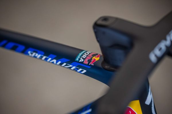 Specialized S-Works Tarmac SL8 – Đội Red Bull-Bora-Hansgrohe