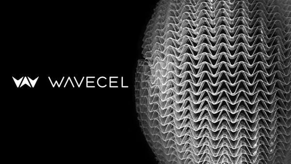 WaveCel là gì?