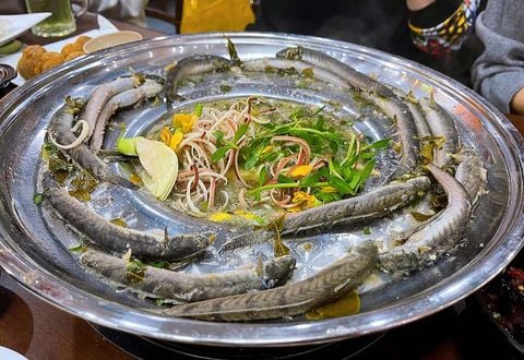 Lẩu mắm cá kèo – Món ngon dân dã mang đậm hồn Nam Bộ