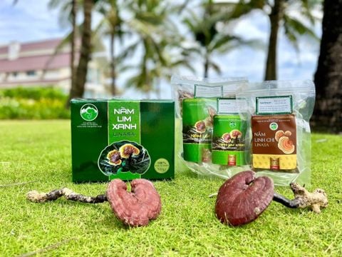 TĂNG CƯỜNG SỨC ĐỀ KHÁNG TRƯỚC TÌNH HÌNH DỊCH CÚM ĐANG DIỄN BIẾN PHỨC TẠP
