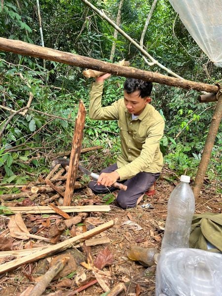 Một chuyến đi tìm nấm – và gặp lại sự tĩnh lặng