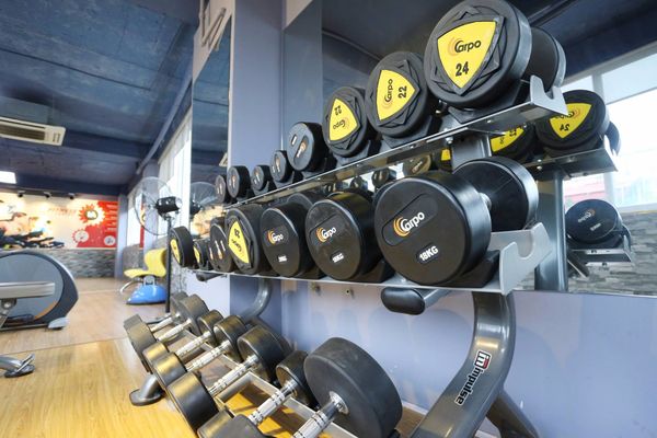  cung cấp thiết bị phòng gym, cung cap thiet bị phong gym