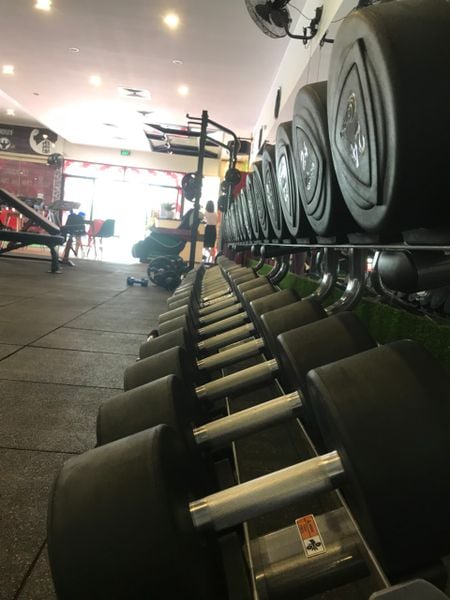 thiết bị tập gym, thiet bi tap gym