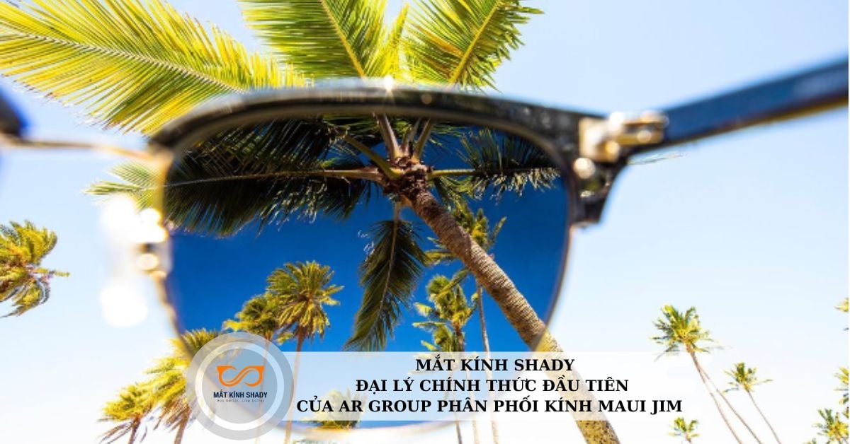 AFAMILY | MẮT KÍNH SHADY -  ĐẠI LÝ CHÍNH THỨC CỦA AR GROUP PHÂN PHỐI MAUI JIM