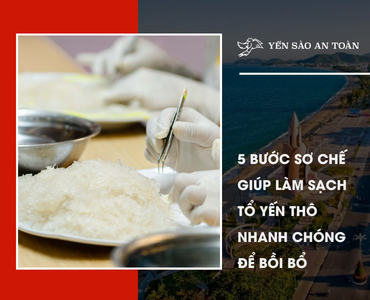 5 bước sơ chế giúp làm sạch tổ yến thô nhanh chóng để bồi bổ