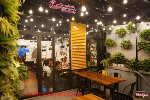dây bóng đèn ngoài trời