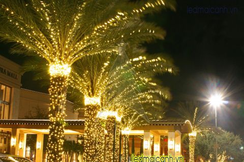 led dây trang trí ngoài trời giá rẻ