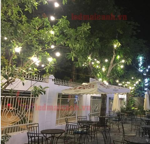 bóng đèn treo thả cây to ngoài trời