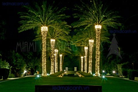led dây trang trí ngoài trời giá rẻ