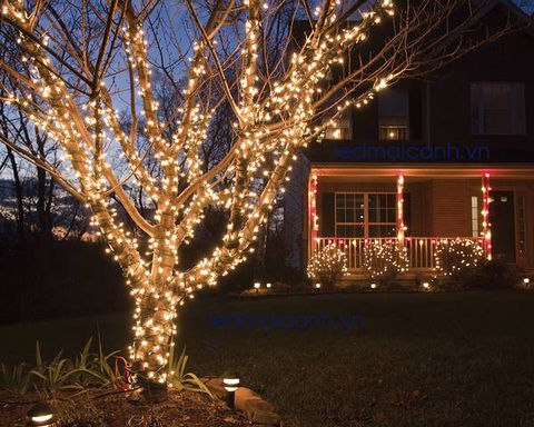 led dây trang trí ngoài trời giá rẻ