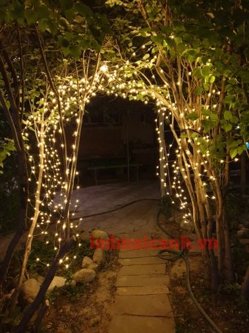 dây led trang trí ngoài trời