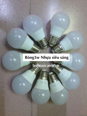 dây bóng đèn ngoài trời