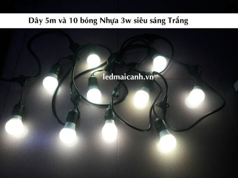 dây bóng đèn ngoài trời