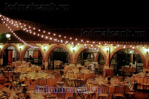 dây đèn chăng tiệc cưới ngoài trời