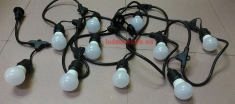 dây bóng đèn ngoài trời