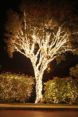 led dây trang trí ngoài trời giá rẻ