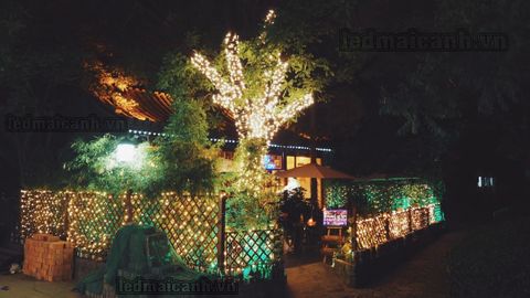 đèn trang trí quấn gốc cây