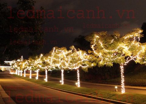led dây trang trí ngoài trời giá rẻ