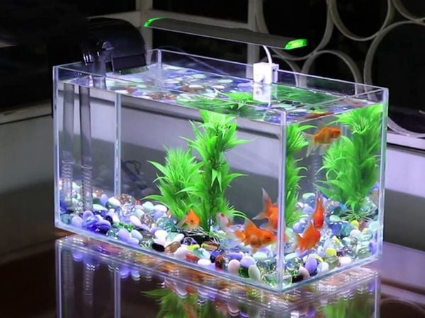 cách xử lý khi máy bơm nước bể cá kêu to