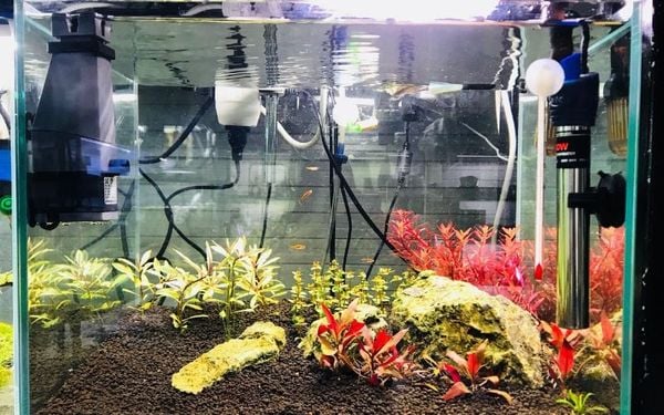 bảo trì và vệ sinh máy sưởi định kì