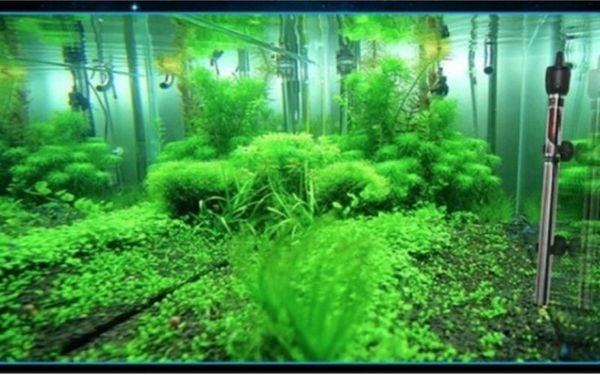 đặt máy sưởi ở vị trí hợp lý