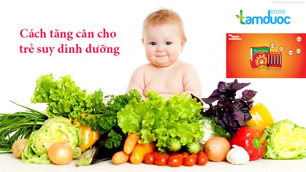 Hướng Dẫn Cách Tăng Cân Cho Trẻ Suy Dinh Dưỡng