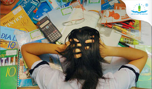 Cao nhân sâm, Cao linh chi và bột tỏi đen: Sự kết hợp hoàn hảo cho sức khỏe sĩ tử trong mùa thi