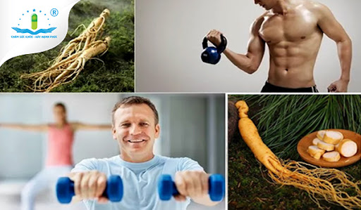 Cao nhân sâm: Giải pháp tăng cường sức khỏe và bảo vệ thanh xuân