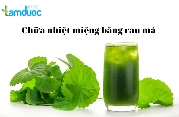 Chữa Nhiệt Miệng Bằng Rau Má Vừa Nhanh Vừa An Toàn