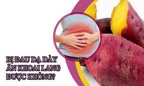 Người Bị Đau Dạ Dày Có Nên Ăn Khoai Lang Không? [Chuyên Gia Chia Sẻ]