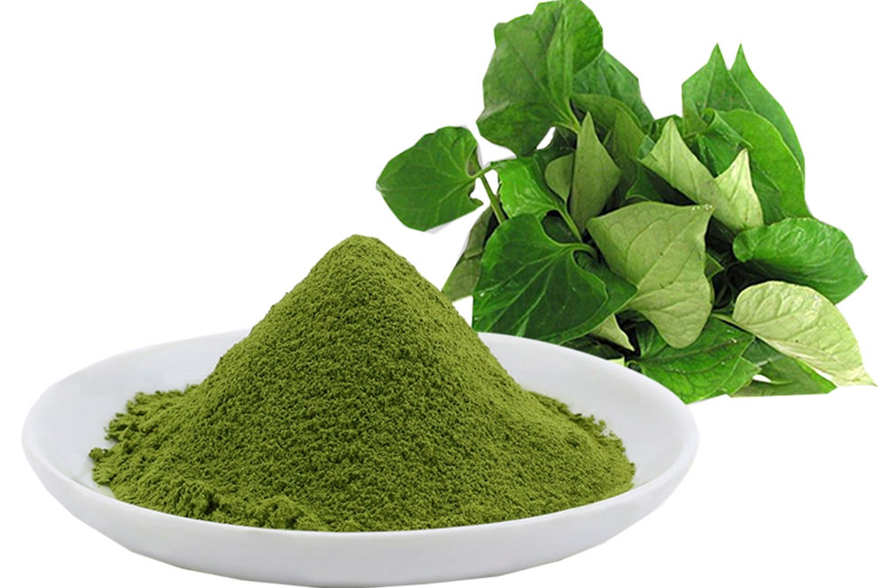 Bất Ngờ Dùng Rau Diếp Cá Chữa Nhiệt Miệng Hiệu Quả