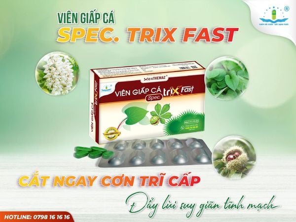 VIÊN GIẤP CÁ SPEC TRIX - CẮT NGAY CƠN TRĨ CẤP, ĐẨY LÙI SUY GIÃN TĨNH MẠCH