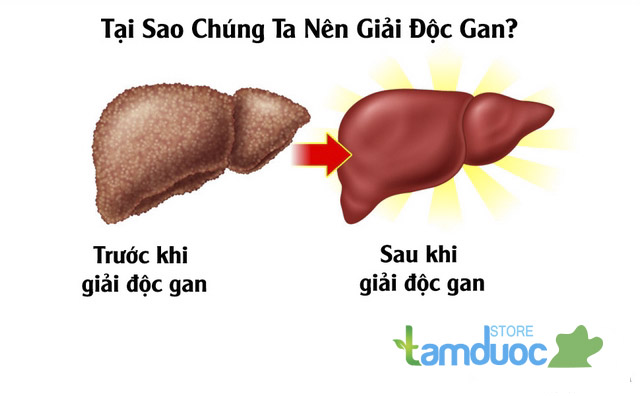 Những Cách Giải Độc Gan Bằng Phương Pháp Dân Gian Nên Biết
