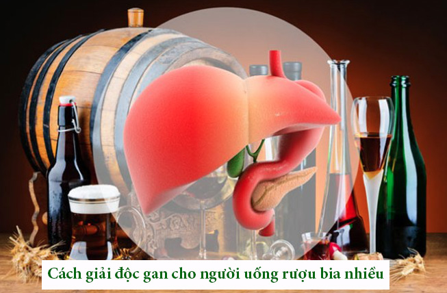 Cách Giải Độc Gan Cho Người Uống Rượu Bia Nhiều