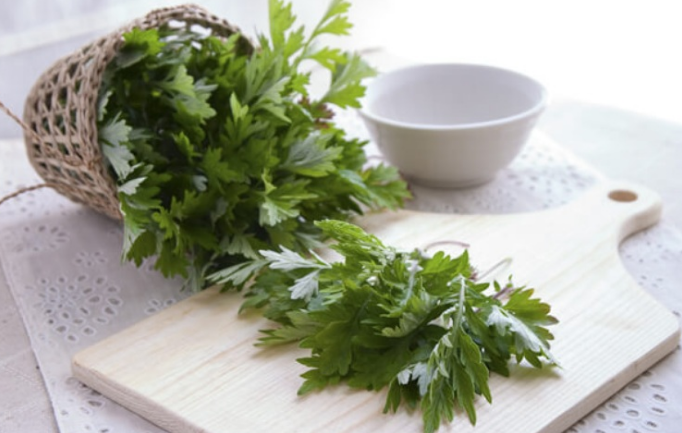 BỆNH TRĨ XÔNG LÁ GÌ MỚI HIỆU QUẢ?