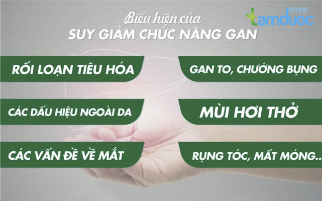 Những Cách Nhận Biết Chức Năng Gan Suy Giảm