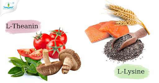 Sự kết hợp hoàn hảo giữa L-Theanin & L-Lysine cho người mất ngủ