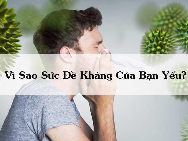 Sức Đề Kháng Yếu Phải Làm Sao?