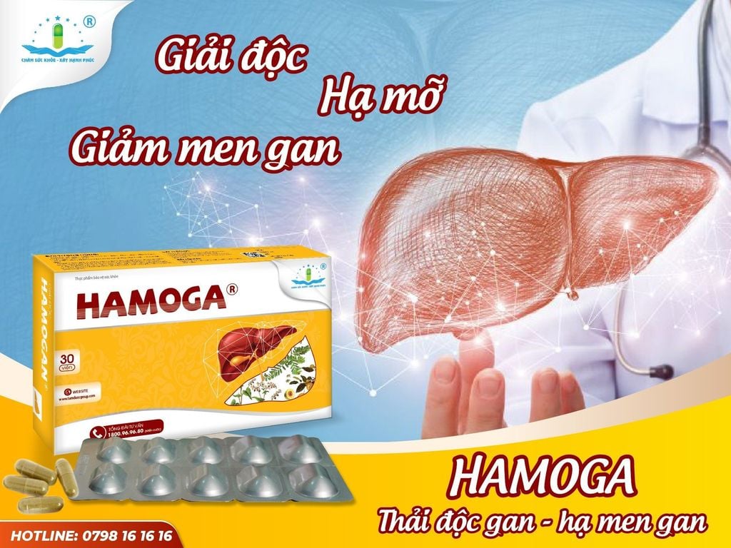 HAMOGA - THẢI ĐỘC GAN, HẠ MEN GAN