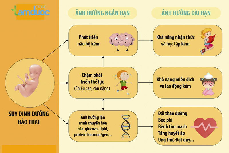 Trẻ Bị Suy Dinh Dưỡng Nên Ăn Gì?