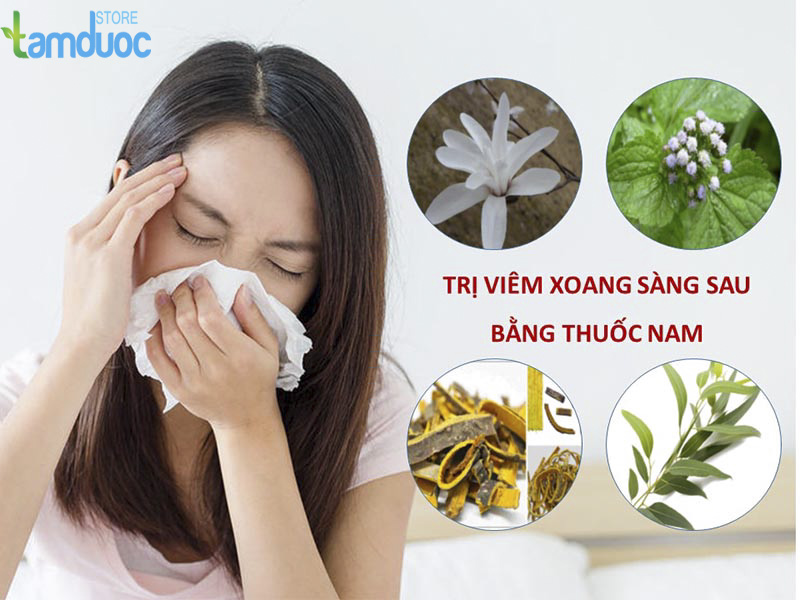 Trị Viêm Xoang Sàng Bằng Thuốc Nam Ít Ai Biết Đến