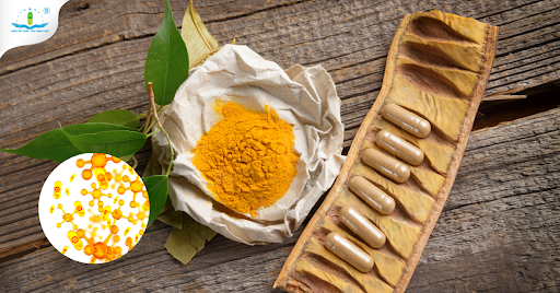 Sản phẩm đầu tiên với sự xuất hiện của Chè dây, Trần bì & Nano Curcumin