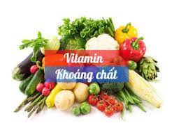 Vai Trò Của Vitamin Và Khoáng Chất Trong Cơ Thể Như Thế Nào?