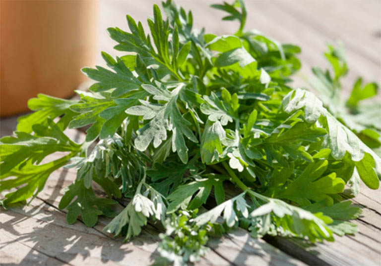 VIÊM MŨI DỊ ỨNG UỐNG LÁ CÂY GÌ HIỆN NAY?