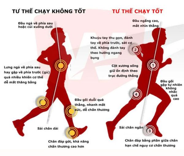 chay-bo-dung-cach-de-tang-the-luc