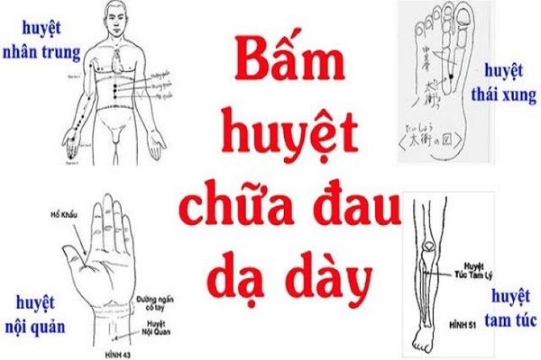 Đau Dạ Dày Bấm Huyệt Nào? Hướng Dẫn Chi Tiết Giảm Đau Hiệu Quả