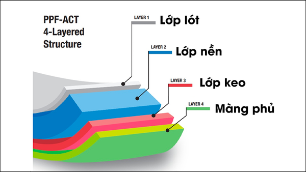 cấu tạo miếng dán ppf