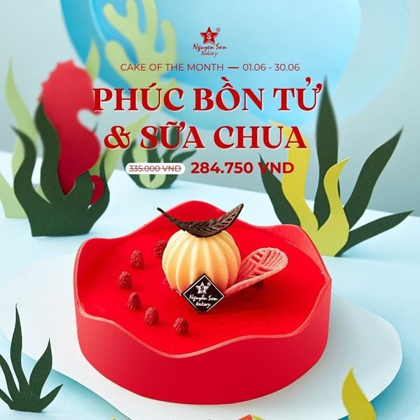 Phúc Bồn Tử Sữa Chua – Lời mời gọi của mùa hè!