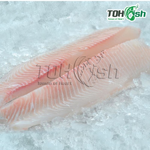Nhiều Sản Phẩm TOH fish Khuyến Mãi Hấp Dẫn, Mua Ngay Kẻo Hết Hạn 15/4