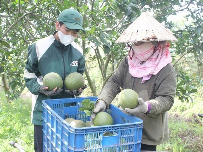 Tạo thương hiệu riêng cho nông sản Bình Phước